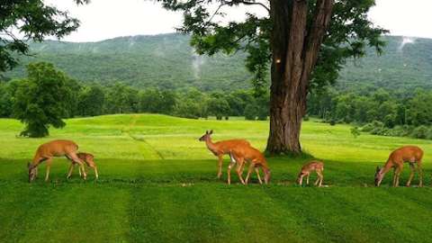 Walpack Inn Walpack Inn
